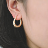 Sylvie - U Shaped Gold Hoop